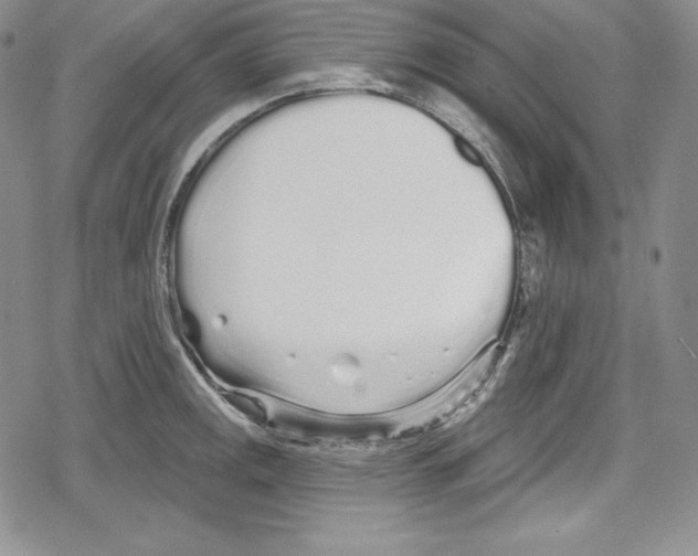 X0000078831141200612111513