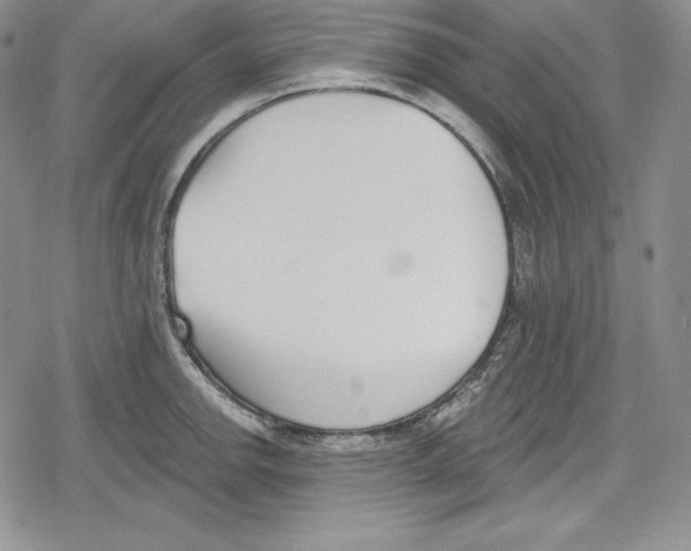 X0000078831142200612111513