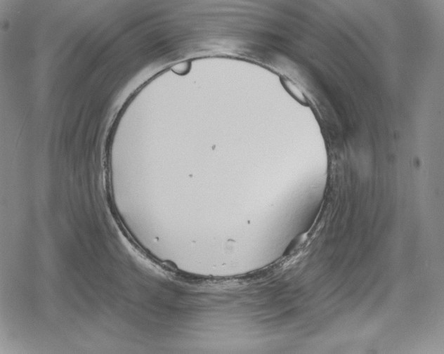 X0000078831143200612111513