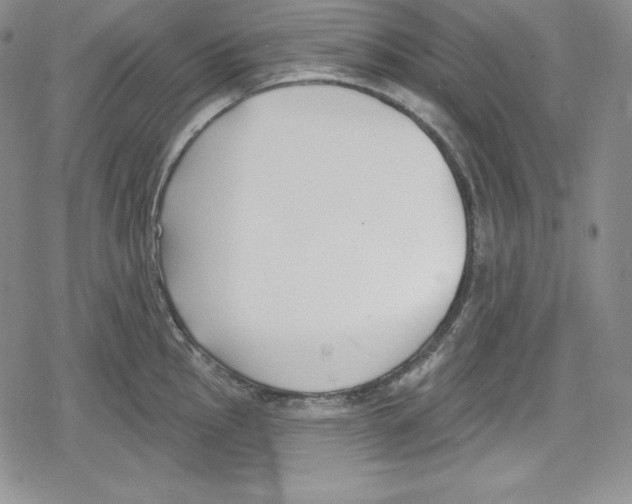 X0000078831145200612111513