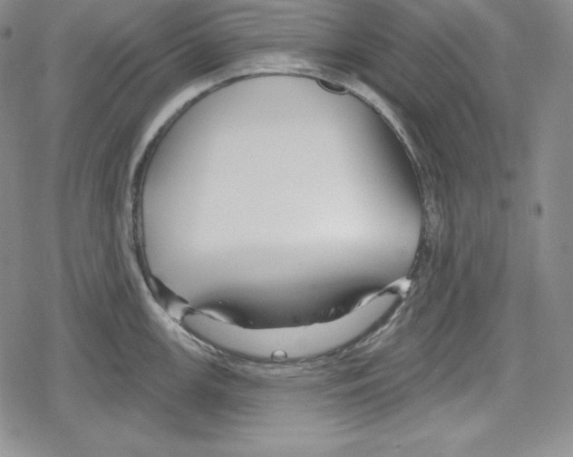 X0000078831147200612111513