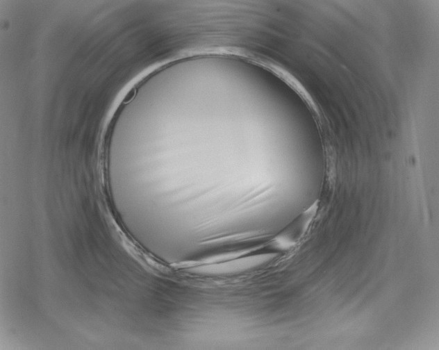 X0000078831148200612111513