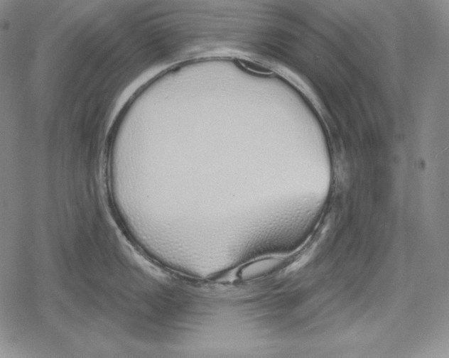 X0000078831149200612111513