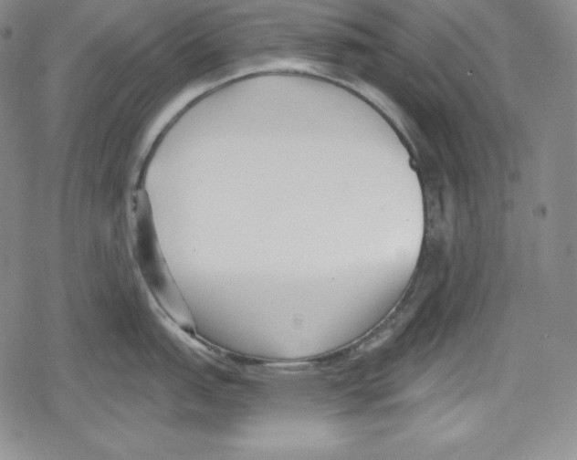 X0000078831151200612111513