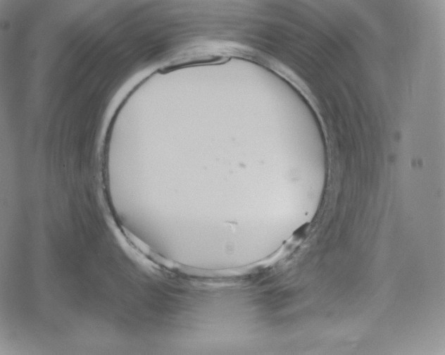 X0000078831152200612111513