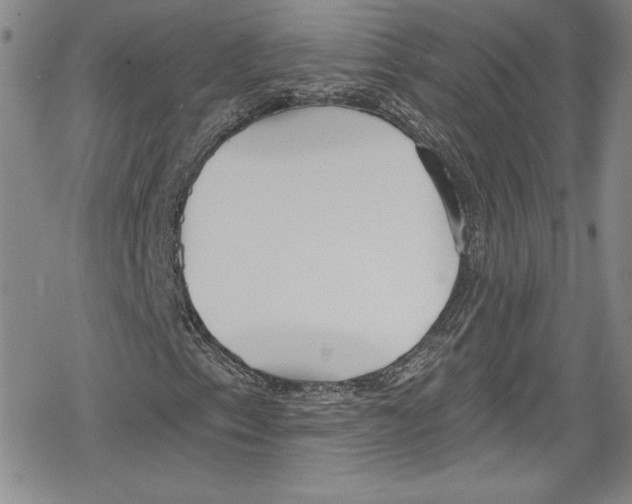 X0000078831153200612111512