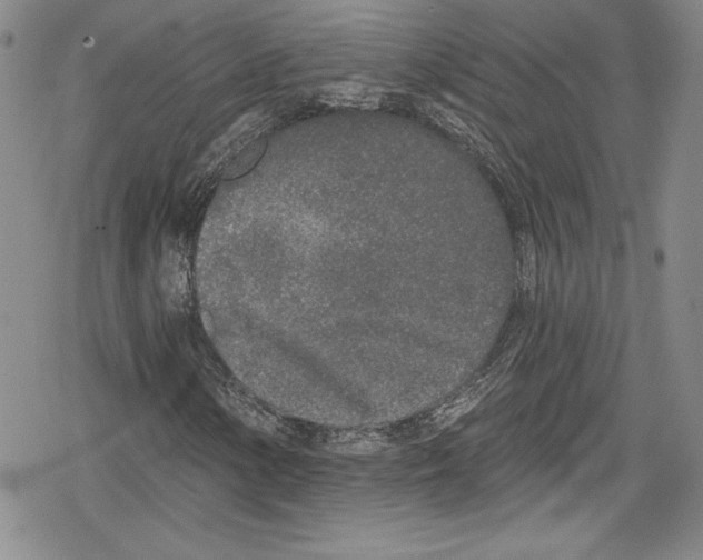 X0000078831154200612111512