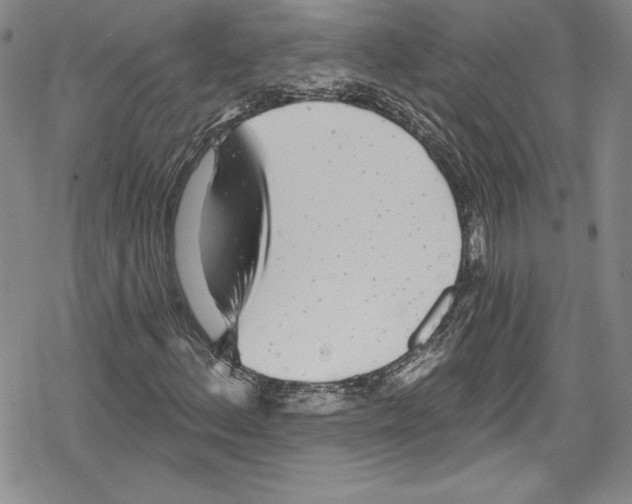 X0000078831156200612111512