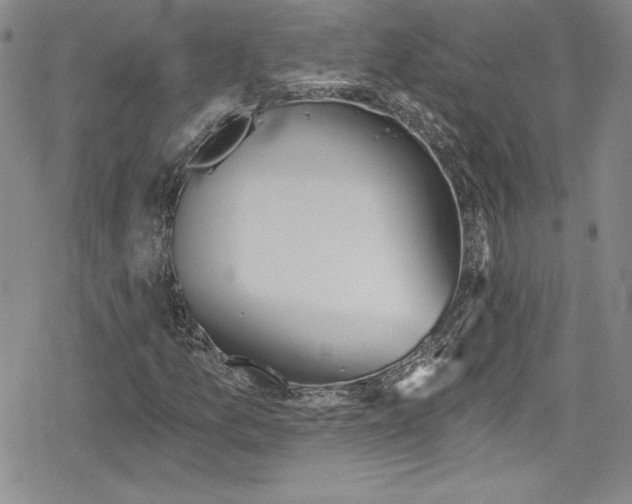 X0000078831157200612111512