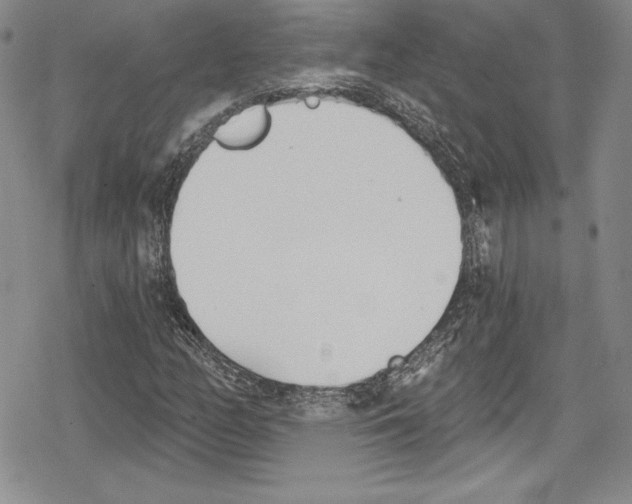 X0000078831158200612111512