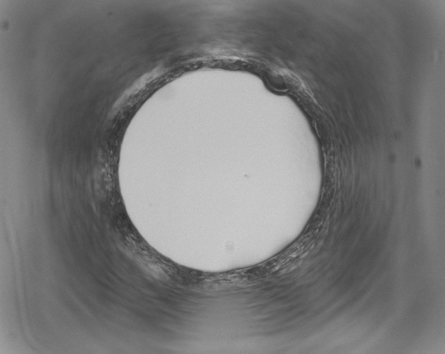 X0000078831159200612111512