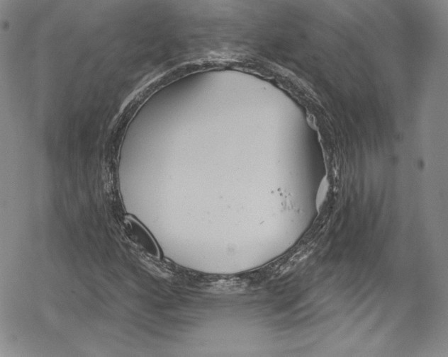 X0000078831160200612111512