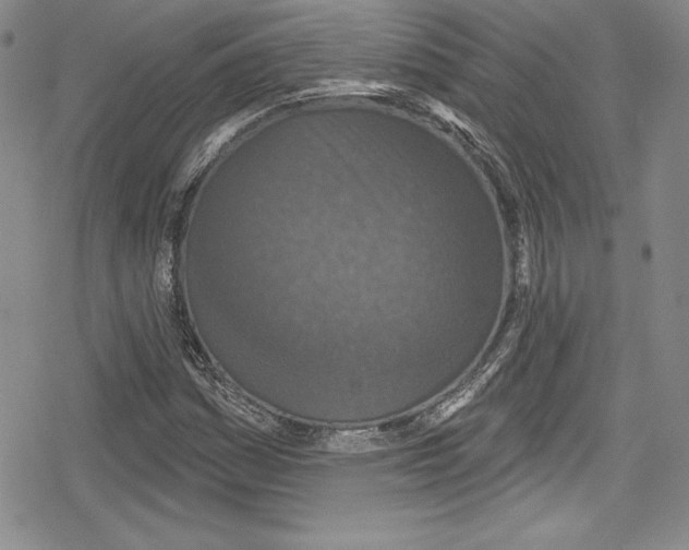 X0000078831161200612111512