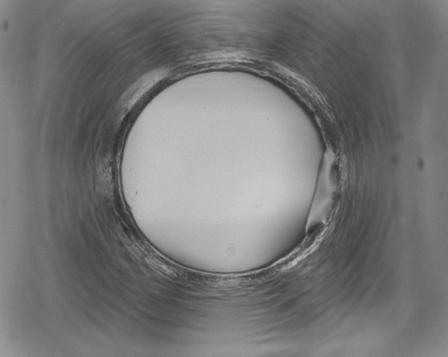 X0000078831162200612111512