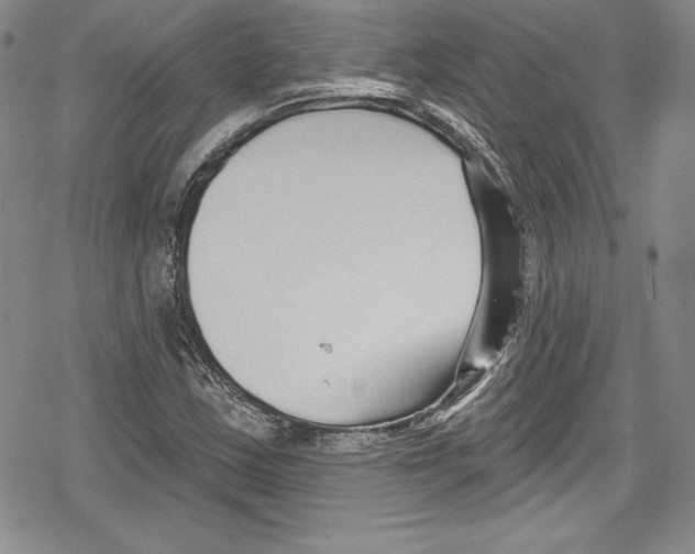 X0000078831163200612111512