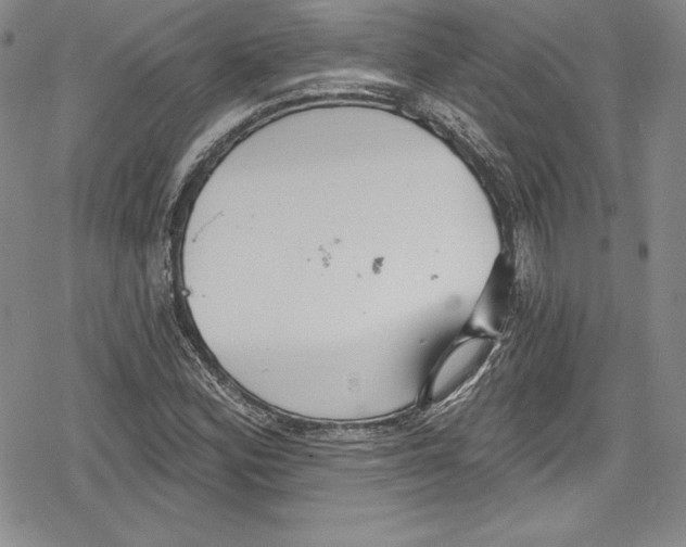 X0000078831164200612111512