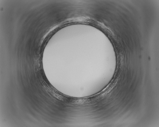 X0000078831166200612111512