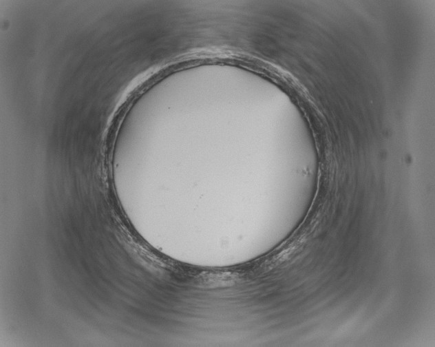 X0000078831168200612111512