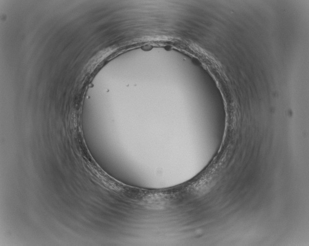 X0000078831169200612111512