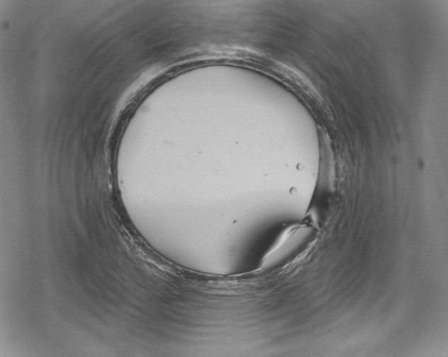 X0000078831172200612111512