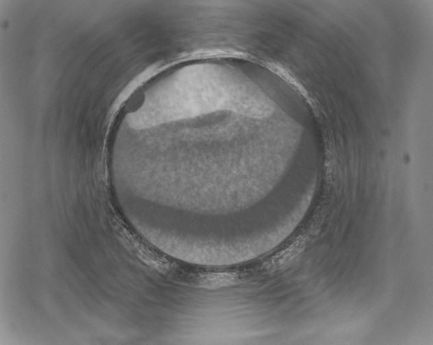 X0000078831173200612111512