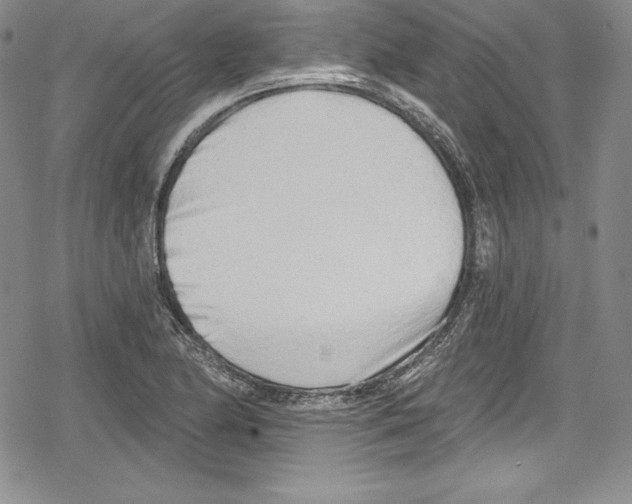 X0000078831174200612111512