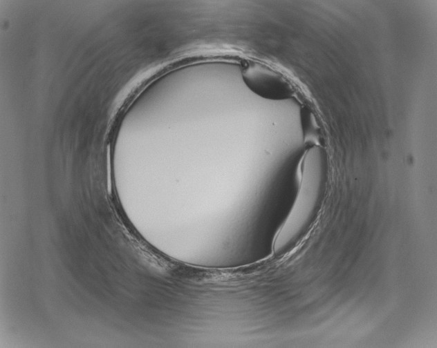 X0000078831175200612111512