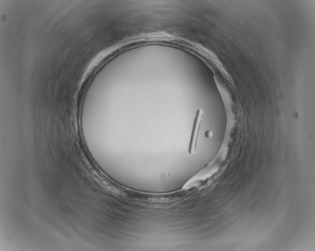 X0000078831176200612111512