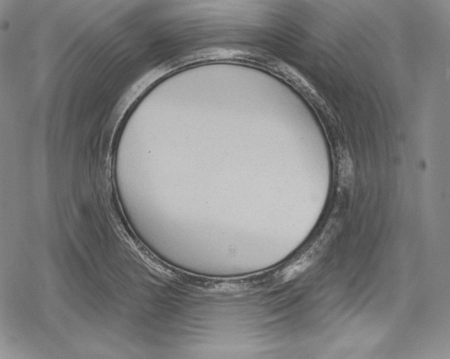 X0000078831178200612111512