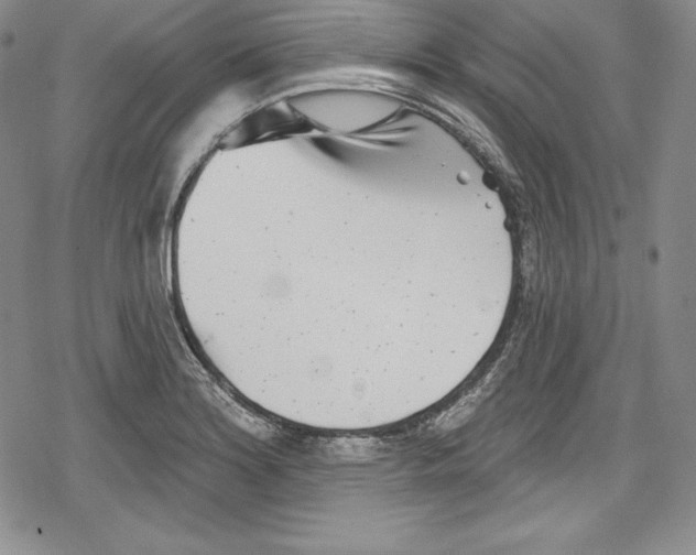 X0000078831180200612111512