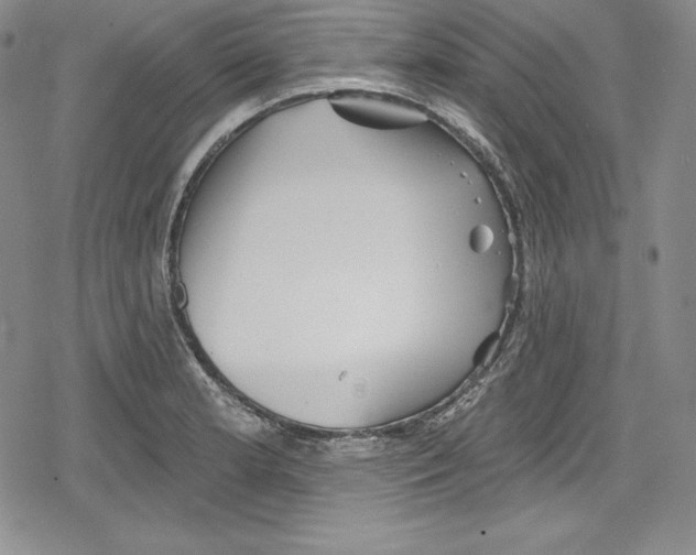 X0000078831181200612111512