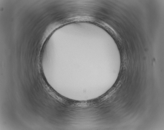 X0000078831182200612111512