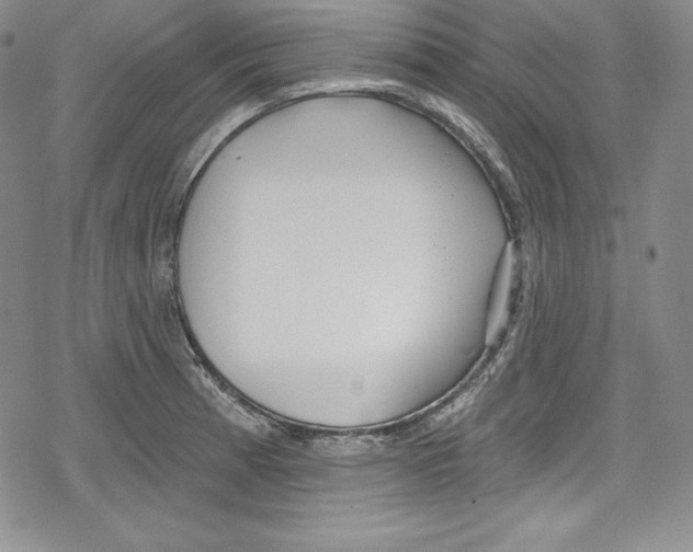 X0000078831185200612111512