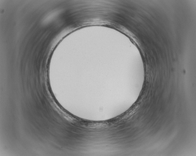 X0000078831187200612111512