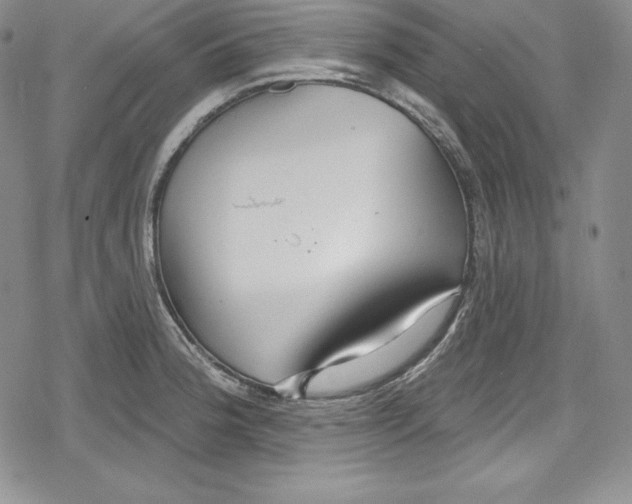 X0000078831188200612111512