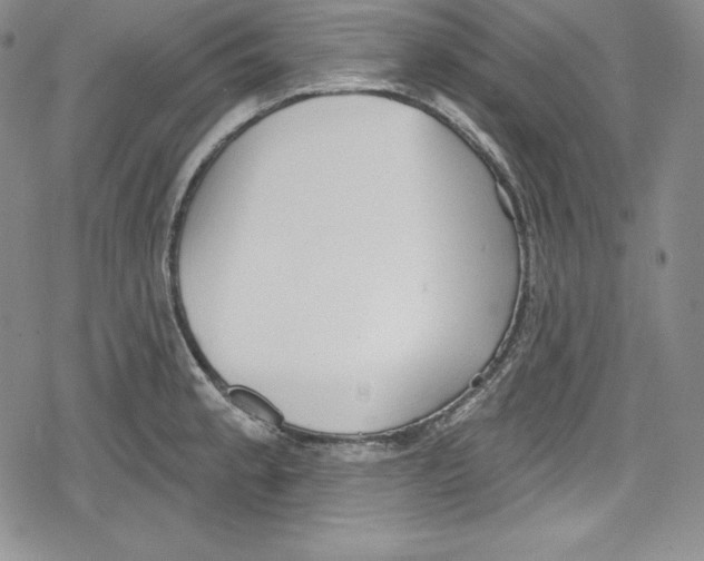 X0000078831189200612111512