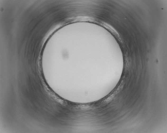 X0000078831190200612111512