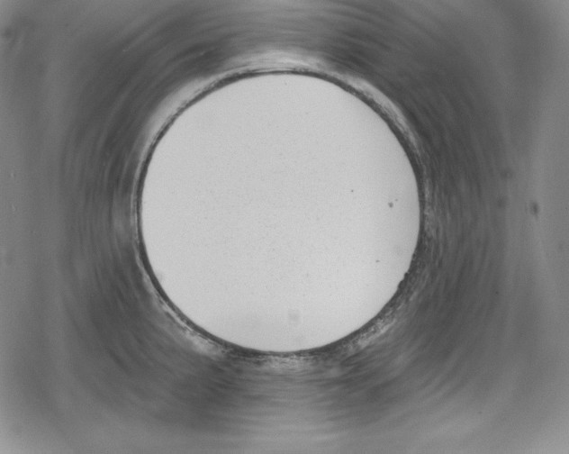 X0000078831191200612111512