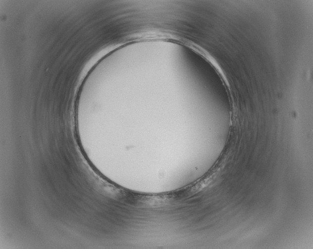 X0000078831195200612111511