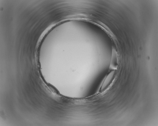 X0000078831196200612111511