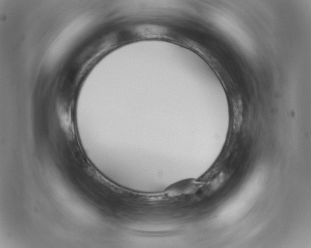 X0000078831198200612111511