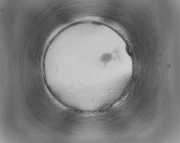 X0000078831199200612111511