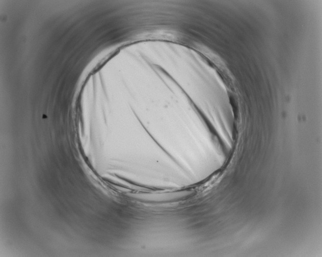 X0000078831200200612111511