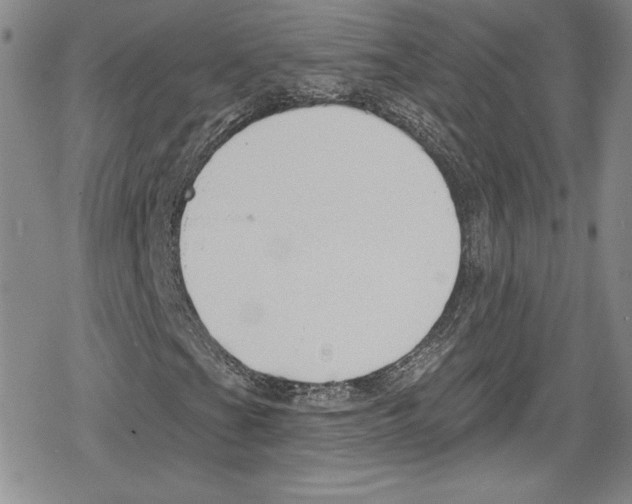 X0000078831201200612111511