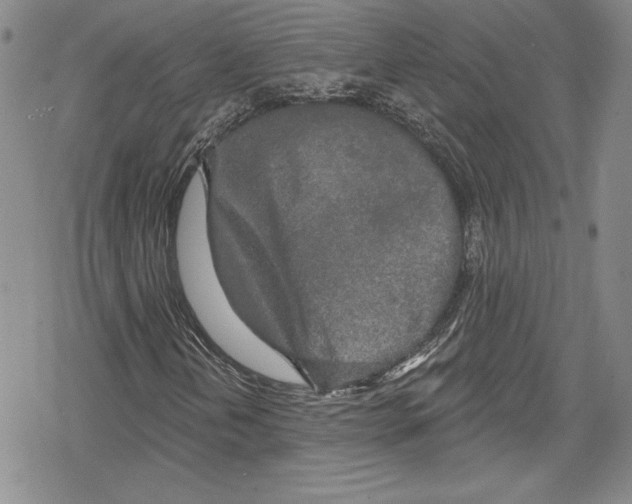 X0000078831202200612111511