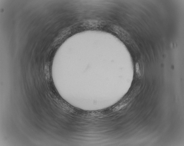 X0000078831203200612111511