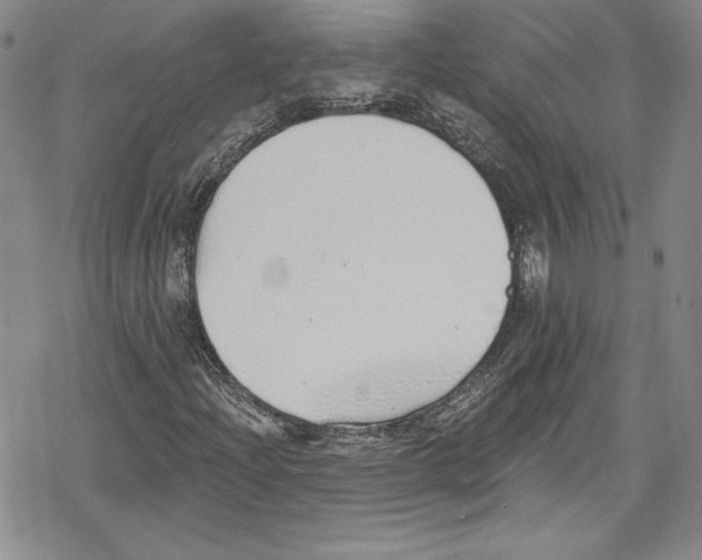 X0000078831204200612111511