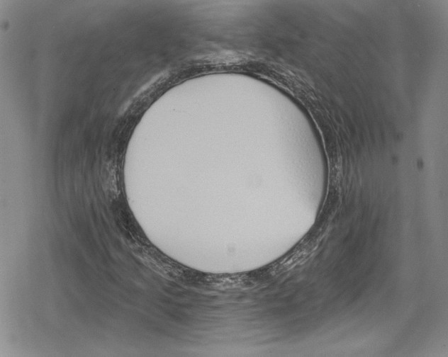 X0000078831205200612111511