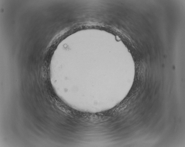 X0000078831207200612111511