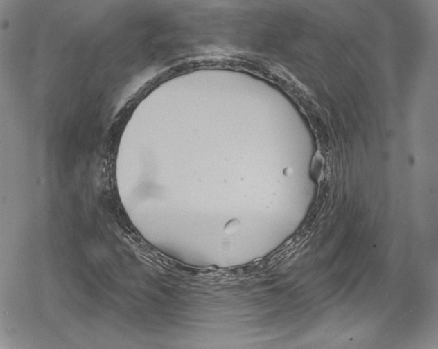 X0000078831208200612111511